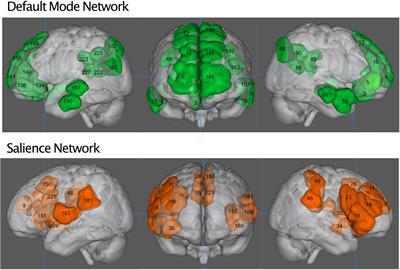 Neuropeptide Y Variation Is Associated With Altered Static and Dynamic Functional Connectivity of the Salience Network